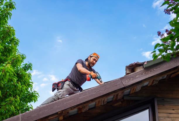 Best Asphalt Shingle Roofing  in Bayou Cane, LA
